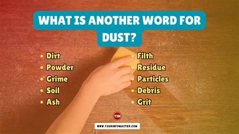 dust off synonym|Dust off synonyms, dust off antonyms .
